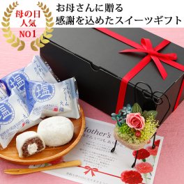 ふんわり塩クリーム大福 6個入とブリザーブドフラワー セット 冷凍便 生クリーム大福 冷凍 ギフト プチギフト アイス 冷凍 菓子 食品 大福餅 餅 大福餅 だいふく 義母 詰め合わせ 花 和菓子 母の日