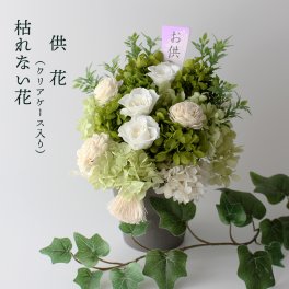 お彼岸 お彼岸の花 供花 プリザーブドフラワー お供え 仏花 【ケース入り】 白 仏壇 花枯れない 花 お供えの花 お悔やみ お供え花 法要花 フラワーアレンジメント クリアケース入り 命日 法事 法要 ご法要 御供 お盆 初盆 新盆 お悔み 葬儀 告別式 初七日 一周忌 四十九日 周期法要 仏壇 仏前 洋風 白系 仏壇花 仏壇用 清楚