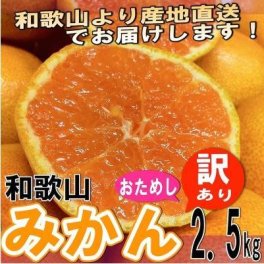 【予約】【お試し】和歌山県産 訳あり みかん ミカン 2.5kg (傷あり サイズ不揃い ご自宅用) お買い得 ご自宅用 和歌山 蜜柑 温州みかん【送料無料】 10月中旬以降より発送開始