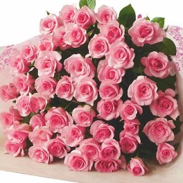ピンク バラ 花束 50本 お祝 歓送迎会 還暦祝い 60本 結婚式 母の日 プロポーズ108本 100本 薔薇  ピンクばら プレゼント 生花 バレンタイン 誕生日 サプライズ 卒業式 誕生日プレゼント  記念日 ギフト 薔薇の花束