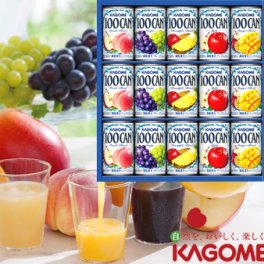 カゴメ　100%フルーツジュースギフトFB-20G