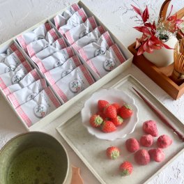 新食感スイーツ♪ 芦屋含浸果実 寿苺 18粒入 桐箱