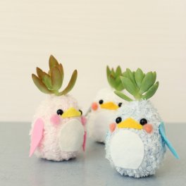 【ペンギン】モスビー 多肉植物 インテリア プレゼント 癒し ギフト 母の日 父の日 クリスマス 敬老の日 かわいい バレンタイン 植物 プレゼント 観葉植物