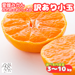 愛媛みかん 訳あり小玉 3kg・5kg・10kg 中玉 みため×おいしさ◎ミカン フルーツ 柑橘 果物 【送料無料※北海道・沖縄除く】
