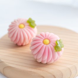 季節の上生菓子おまかせ6個セット【送料無料】 上生菓子 プレゼント 和菓子 ギフト お誕生日 御礼 御祝 贈答 お返し 練切 