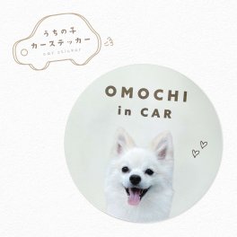 【名入れ】【カーマグネット 丸型 10×10cm】写真  ステッカー うちの子 ペット グッズ  送料無料