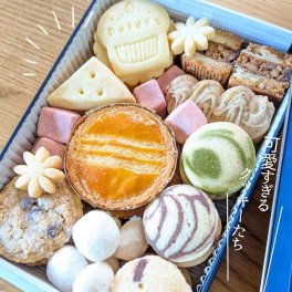ポルドットのクッキー缶 #35 クッキー缶 ギフト かわいい 可愛いクッキー 缶入りクッキー アイシングクッキー セット かわいいお菓子 可愛いお菓子 シマエナガ グッズ 鳥 好き プレゼント かわいいクッキー缶 詰め合わせ 出産 内祝い おしゃれ インスタ【送料無料(一部地域除く)】