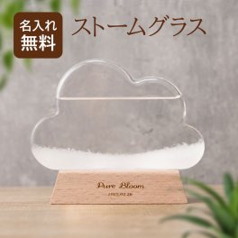 名入れ ストームグラス 湿度計 インテリア おしゃれ ギフト プレゼント 実用的 北欧 ガラス 置物 雑貨 彫刻 名前入り 天候予測器 気象計 クラウド 雲 メッセージカード 壁掛け 贈り物 父の日 誕生日 結婚祝い 出産祝い 還暦祝い 開店祝い 周年