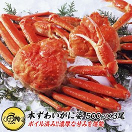 本ズワイガニ 姿 ボイル 1.5kg 500g×3尾 ずわい蟹 ずわいがに カニ かに