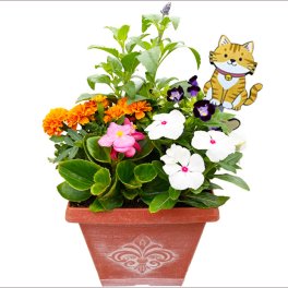 季節の寄せ植え 春夏 アンティーク調 スクエアプランター ブラウン　ギフトにも最適な季節のお花を寄せ植えに。【ギフト プレゼント ガーデンピック 玄関 ベランダ 送料無料 沖縄・離島を除く】