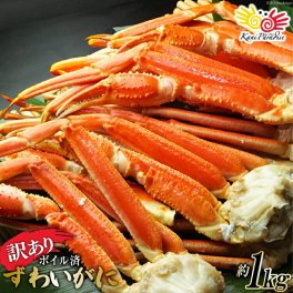 訳あり ずわいがに 肩付き脚 総重量1kg（正味重量800g） ボイル ずわい蟹 ズワイガニ カニ脚 蟹脚 不揃い 規格外 海鮮 足 ギフト 贈り物 お祝い お中元 夏ギフト
