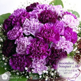 カーネーション 紫 ムーンダストの花束(M 24本) 【長寿祝い 花 フラワーギフト お祝い 誕生日 花 古希 喜寿 卒寿 お祝い 花 プレゼント 花瓶が要らない 花束 退職祝い 長寿のお祝い  誕生日プレゼント 女性 男性 プレゼント 花 結婚祝い 退職祝い 花 記念日 生花 立つブーケ おしゃれ 送料無料】