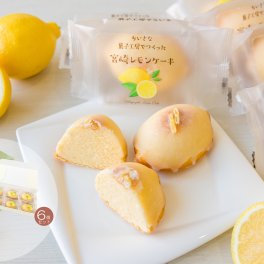 宮崎レモンケーキ6個セット