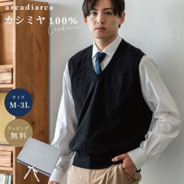 アルカディアルカ arcadiarca カシミヤ100% Vネックベスト メンズ M～3L (カシミヤ カシミア セーター 男 ニット ベスト カシミヤ100 カシミア100％ 無地 防寒 大きいサイズ ギフト プレゼント) ギフト ギフト 父の日 2026 プレゼント