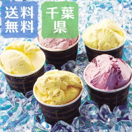 【送料無料】銀座千疋屋 銀座プレミアムアイス 計10個入り【誕生日 結婚祝い 出産祝い 還暦祝い 結婚記念日 送別会 お祝い 引越し祝い 新築祝い 初節句 古希 喜寿 傘寿 お返し 内祝い お見舞い 快気祝い 金婚式 銀婚式 パーティー 景品 賞品 グルメ 母 父 女性 男性 両親 友達 親戚 上司 先輩 後輩 家族 子供 大人 彼氏 彼女 夫婦】【敬老の日 残暑見舞い】