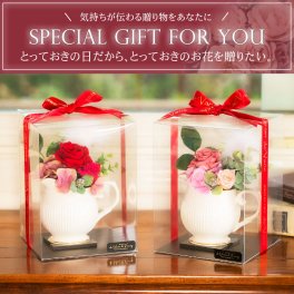 [デバリエ]  hp-1 プリザーブドフラワー バラ 誕生日プレゼント 女性 フラワー ギフトフラワーアレンジメント 贈り物 彼女 枯れない花 開店祝い 新築祝い 記念日 オリジナル商品