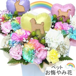 生花 ペット お悔やみ花 レインボーカーネーション お供え アレンジメント 送料無料