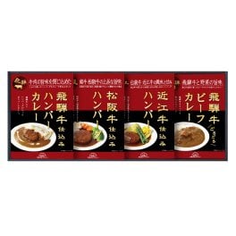 飛騨高山ファクトリー松阪牛・近江牛・飛騨牛仕込みハンバーグ＆カレー詰合せ 【(税込)3024円→2722円 10％OFF】【熨斗・包装無料】