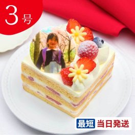 写真ケーキ 苺のプレミアムショートケーキ 3号 9cmx9cm