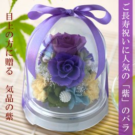 プリザーブドフラワー ドーム 花 紫 誕生日祝い 記念日 長寿祝い 古希祝い 喜寿祝い 敬老の日 ｜ フローリストレマン チャーム（ラベンダー）