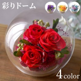 【 送料無料 】【 彩り バブル ドーム 】 還暦祝い プリザーブドフラワー バラ 女性 お祝い 花 プレゼント 古希祝い 米寿祝い 喜寿祝い 赤 紫 黄 ギフト 誕生日プレゼント 母親 花束 義母 女性 60代 50代 祖母 結婚祝い 結婚記念日 両親 ガラスドーム ガラスケース