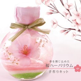 桜 ミニ ハーバリウム 手作り キット  【 記念日 誕生日 ギフト プレゼント ドライフラワー ハンドメイド 春 和風 お花見 母の日 インテリア 雑貨 花 プリザーブドフラワー】