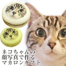 敬老の日 あなたの愛猫 写真で作る にゃん顔マカロン 5個入 フェイスマカロン [ねこ ネコ ペット ギフト プレゼント 贈り物 記念日 誕生日 プチギフト お菓子 面白い インスタ映え ](gift)(gift5)