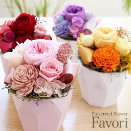 買って被災地応援!  プレゼント ギフト 花 プリザーブドフラワー ハロウィン 七五三 いい夫婦の日 誕生日 ギフト プレゼント ココットファボリ クリアケース付き お祝 内祝い お礼 還暦 古希 喜寿 傘寿 米寿 卒寿 白寿