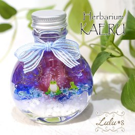 デイジーとカエルのハーバリウム プリザーブドフラワー ドライフラワー 可愛い 誕生日 プレゼント 母の日 父の日 ギフト 入学 卒業 入社 退職 カエル 蛙 パープル ブルー 紫 青 水槽 デイジー Lulu's-0558