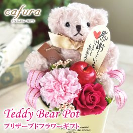 プリザーブドフラワー プレゼント カーネーション ぬいぐるみ 送料無料 テディベア くま クマ カーネーション ぬいぐるみ  誕生日 可愛い おしゃれ  テディベア ポット 電報 おしゃれ 花 女性 くま かわいい 贈り物 出産祝い 男の子 女の子 結婚記念日 お祝い ブリザードフラワー ブリザーブドフラワー
