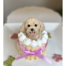 ノワールデコ３ わんちゃん用（犬）ケーキ 誕生日 お祝い