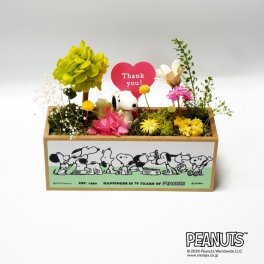 送料込み スヌーピー Forest in Bloom 75th【プリザーブドフラワー フラワーアレンジメント 花 お花 キャラ スヌーピー 雑貨 インテリア プレゼント ギフト 母の日　誕生日 記念日 お祝い】