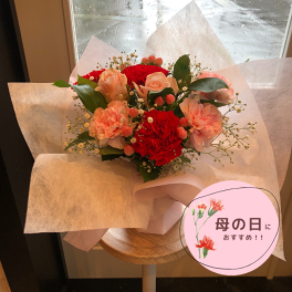 097【カーネーションのスタンディングブーケ】 お花 花 生花 花束 ブーケ フラワーアレンジメント ミニブーケ お祝い 誕生日 結婚祝い 出産祝い ホワイトデー バレンタイン 父の日 母の日 敬老の日 記念日 結婚記念日 送別 退職 入学 卒業 開店祝い 周年祝い プレゼント ギフト 贈り物