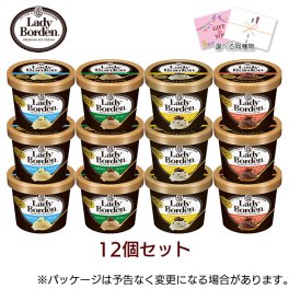 敬老の日 お中元 残暑見舞い アイス ギフト対応 ロッテ レディーボーデン ミニカップ 12個入り セット バニラ コーヒー クッキー＆クリーム チョコレートチップ アイス 120ml×12入