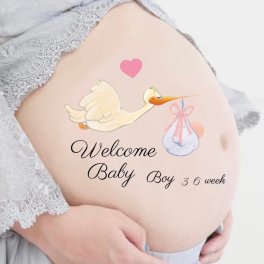 マタニティシール【送料無料】マタニティフォトシール マタニティペイントシール ベリーペイントシール welcome Baby タトゥーシール ボディシール コウノトリ 鳥 赤ちゃん 出産祝い