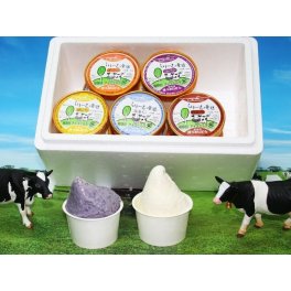 【北海道・手づくりアイスクリーム】B-10セット(100ml×10個)