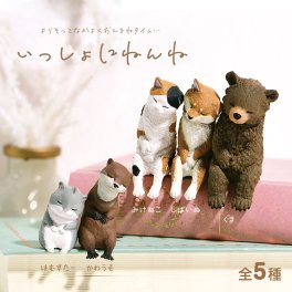 【全5種類セット】いっしょにねんね ガチャ ガチャガチャ コンプリート 中身 動物 かわいい フィギュア おもちゃ みけねこ しばいぬ くま はむすたー かわうそ
