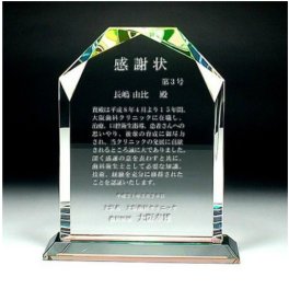 退職記念  感謝状 クリスタル楯 DP-5A DP-5B DP-5C 名入れ無料 