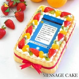 SNS風メッセージケーキ フルーツ生クリーム 21×14cm バースデーケーキ 誕生日ケーキ 6～8名様用 感謝状 サプライズ 冷凍