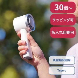 【30個～】 冷却プレート ハンディファン USBハンディファン 扇風機 ミニ扇風機 小型扇風機 ノベルティ 創立 設立 周年 記念 社名入れ 記念品 会社 祝典 名前入れ 名入り 名前入り ネーム入り オリジナル ロゴ入り 文字入り