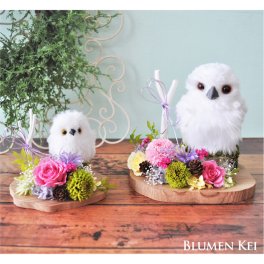 送料無料 プリザーブドフラワー 花 和風 花白梟／メッセージカード プレゼント ギフト 結婚記念日 結婚祝い 誕生日 お祝い 女性 妻 アニマル 動物 かわいい フラワー 開店祝い 入学祝い 男性 記念日 還暦 米寿 30代 40代 50代 60代 梟 白ふくろう 縁起 縁起物 インテリア 正月 新年 母の日 敬老の日 ホワイトデー バレンタインデー クリスマス いい夫婦の日