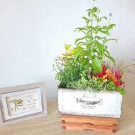 【四季折々】季節の寄せ植えアレンジ【大切な方へ】恋人 上司 両親 お祝い プロポーズ 結婚祝い 開店祝い 開業祝い 発表会 送別会 引越し祝い 新築祝い 結婚記念日 誕生日 退職祝い ギフト プレゼント 豪華 母の日