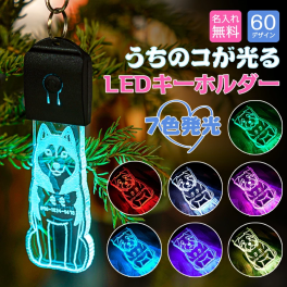 名入れ 刻印 キーホルダー 迷子札 光る お散歩ライト ペットネームタグ LED 60種の犬シルエット USB充電 ペット 犬 リード 首輪 ペンダント おしゃれ ライト お散歩 かわいい ネームプレート 名札 ledog ギフト プレゼント アクリル かばん リュック デザイン