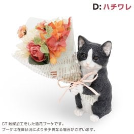 【プレゼント ギフト】 CT ミニョンブーケ ねこ（ハチワレ） 【有料ラッピングサービス選べます】