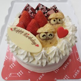 モンクール生デコレーション 4号 5号　お急ぎ便OK　誕生日　ケーキ　デコレーション　プレゼント　ギフト　バースデーケーキ　メッセージ