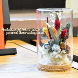  プリザーブドフラワーのドームアレンジ 【コルクドーム01　ウォッシュプランツ】プリザーブドフラワー 誕生日 花 プレゼント お礼 お祝い 本物 グリーン ナチュラル ギフト メッセージ ガラスドーム 送料無料 お礼 プリザーブド プレゼント おしゃれ リビング インテリア 枯れない花 土日発送 母の日 敬老の日 お中元 お歳暮