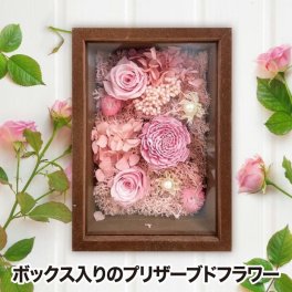 プリザーブドフラワー ボックスフレーム 母の日 【選べる特典付】 バラ 花ギフト そのまま飾れる 壁掛け 薔薇 枯れない お花 アレンジメント 箱入り BOX 飾り ミニ フラワー インテリア おしゃれ かわいい ナチュラル フラワーギフト プレゼント 贈り物 誕生日 結婚祝い