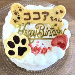 ワンちゃんと飼い主さんが一緒に食べられるお祝いケーキ