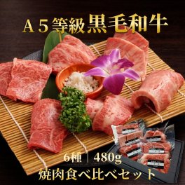 厳選黒毛和牛 6種焼肉セット 　計480g　2人前　保存に便利な小分け真空パック