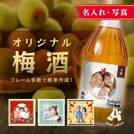 【名入れ・写真】"オリジナル梅酒" ザ・チョーヤ梅酒 The CHOYA 熟成1年